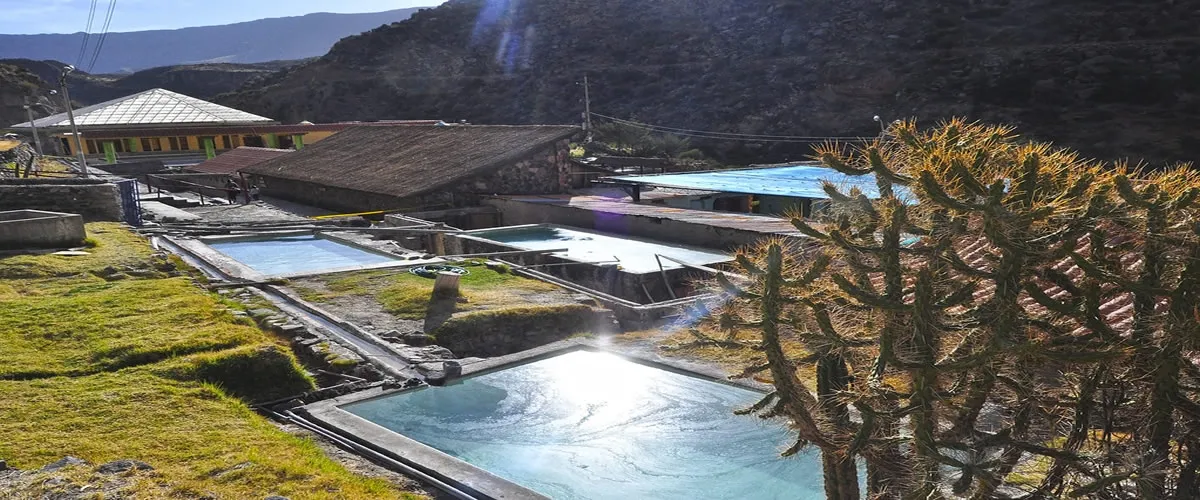 El Santuario del Majestuoso Cóndor Andino - 3